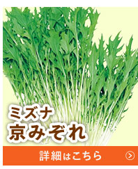 京みぞれ