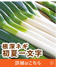 初夏一文字