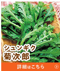 菊次郎