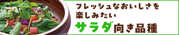サラダ向き品種