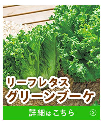 グリーンブーケ