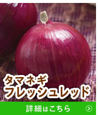 フレッシュレッド