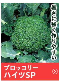 ハイツSP