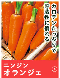オランジェ