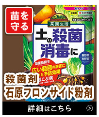 フロンサイド