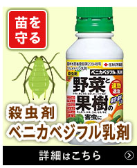 ベニカベジフル