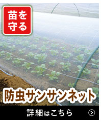 サンサンネット