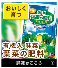 味菜