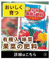味菜