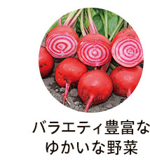 バラエティ豊富なゆかいな野菜