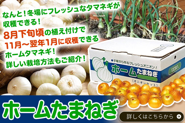 ホームたまねぎ