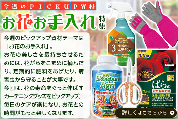 PICKUP資材お花お手入れ特集