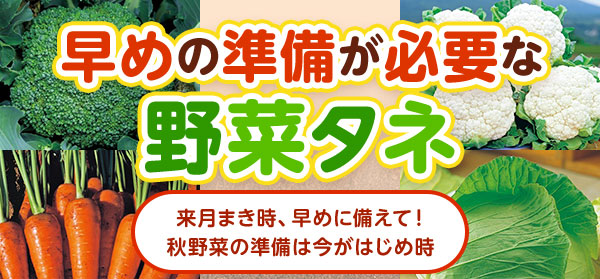 早めの準備が必要な野菜タネ