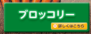 ブロッコリー