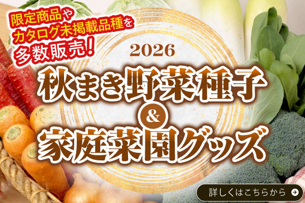 高額野菜
