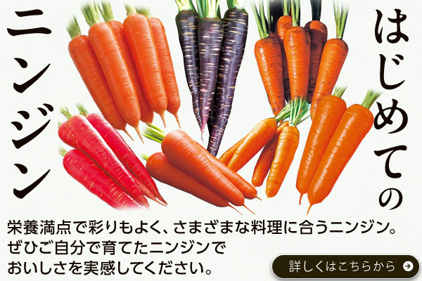 はじめてのニンジン