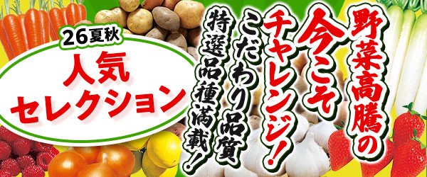 26夏秋人気セレクション