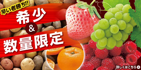 早い者勝ち！！希少＆数量限定