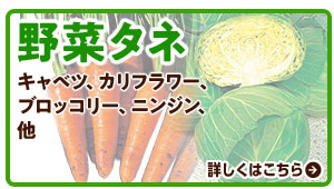 野菜タネ