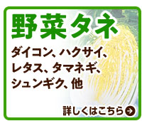 野菜タネ