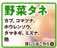 野菜タネ