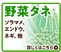 野菜タネ