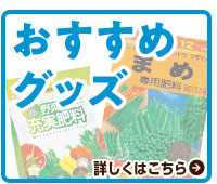 お役立ちグッズ