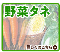 野菜タネ
