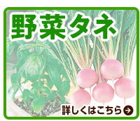 野菜タネ