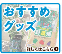 おすすめグッズ