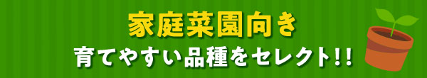 家庭菜園向き育てやすい品種をセレクト！！