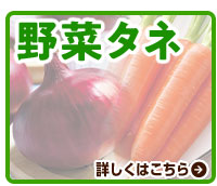 野菜タネ