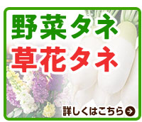 野菜タネ、草花タネ
