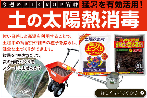 猛暑を有効活用！土の太陽熱消毒