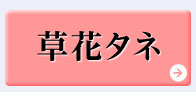 8月おすすめピックアップ【草花タネ】