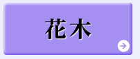8月おすすめピックアップ【花木】