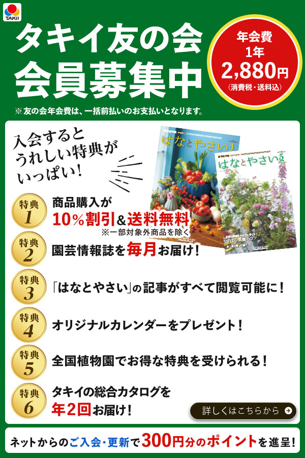 友の会募集