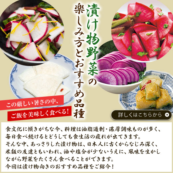 漬け物野菜の楽しみ方とおすすめ品種