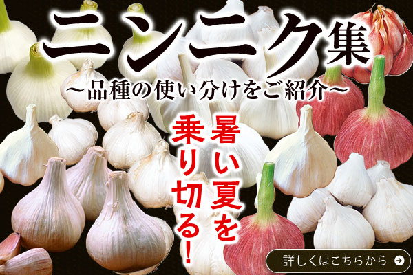 ニンニク集