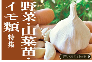 野菜・山菜苗・イモ類特集
