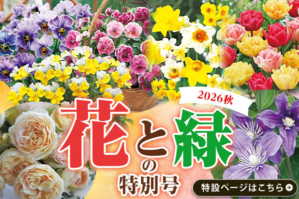 花と緑の特別号