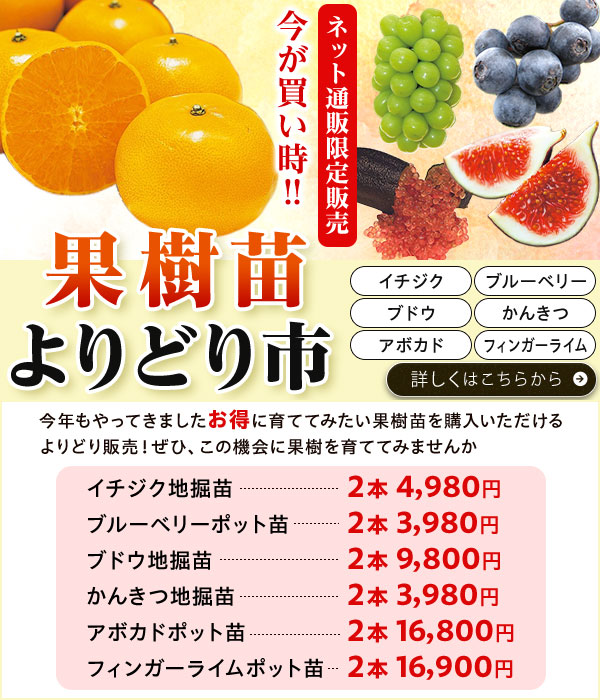 ネット通販限定販売果樹苗よりどり市