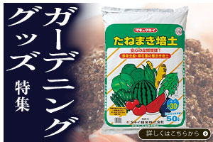 ガーデニンググッズ特集