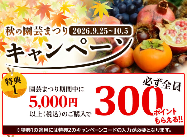 抽選プレゼント