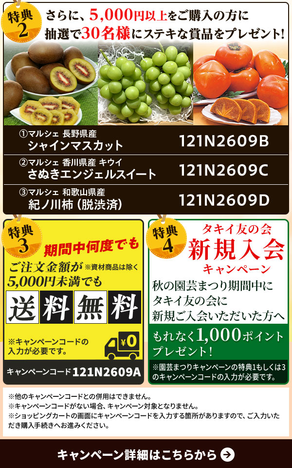 抽選プレゼント