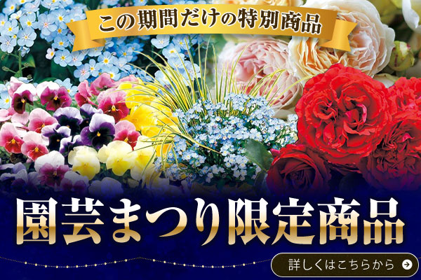 園芸まつり限定商品