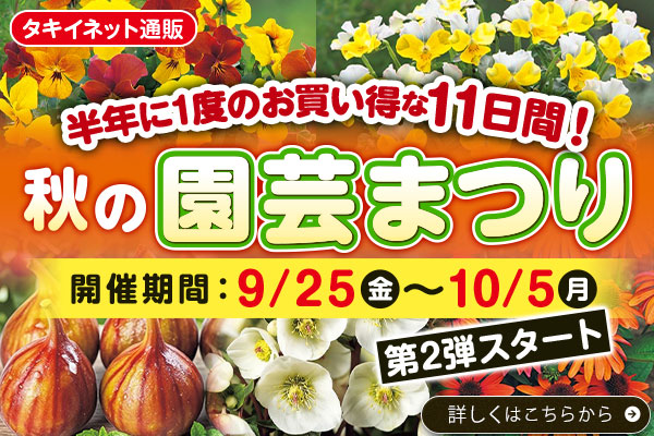 タキイネット通販秋の園芸まつり