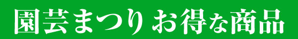お得な商品