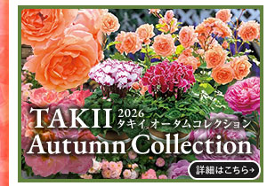 26タキイAutumn Collection