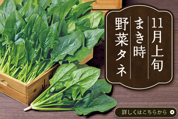 11月上旬まき時【野菜タネ】